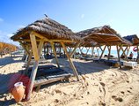 Les Orangers Beach Resort & Bungalows в Хаммамет Тунис ✅. Забронировать номер онлайн по выгодной цене в Les Orangers Beach Resort & Bungalows. Трансфер из аэропорта.