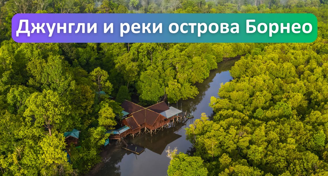 Одна из самых интересных программ путешествия в Малайзию - "Джунгли и реки острова Борнео"